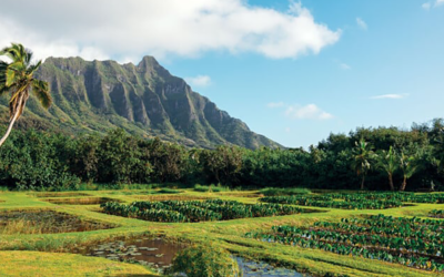 Honolulu Magazine: Can We Return to Ahupua‘a?